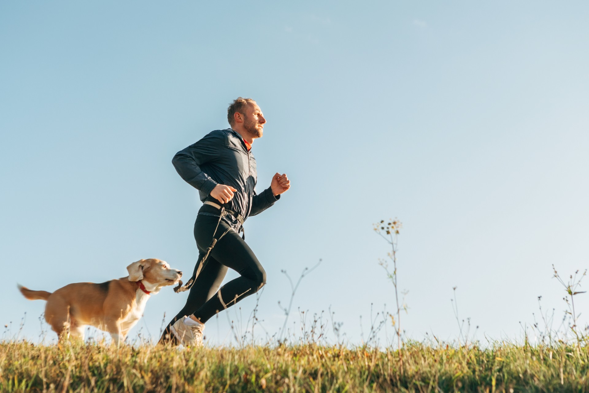 a man and his dog trail running